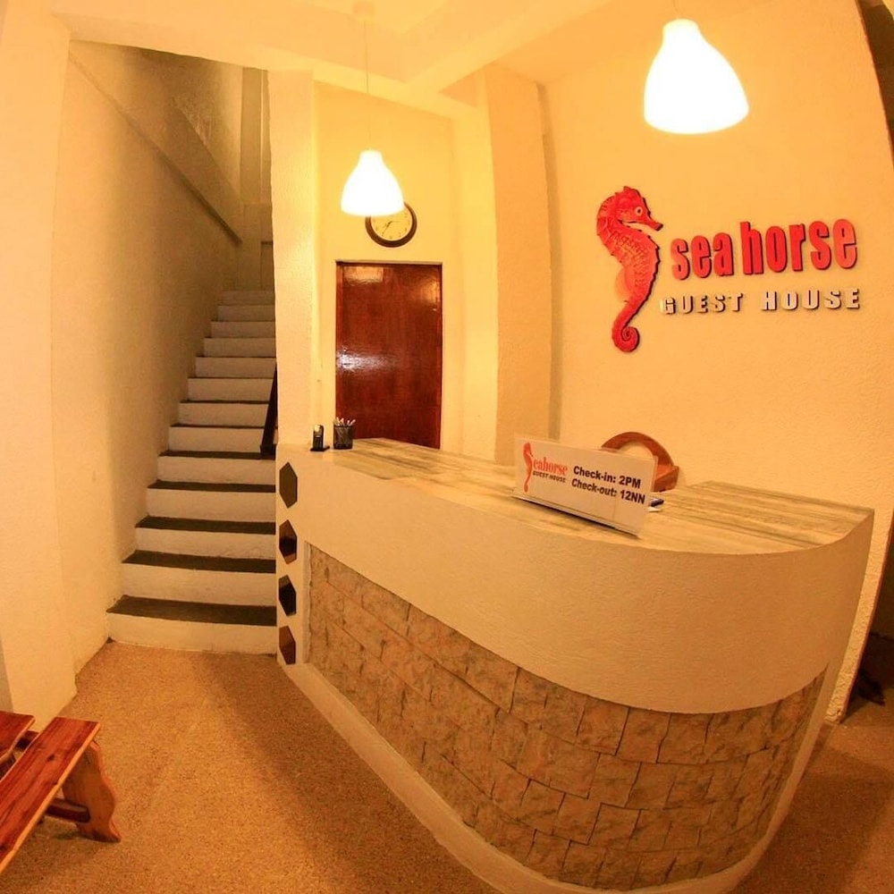 Sea Horse Guest House 42/46