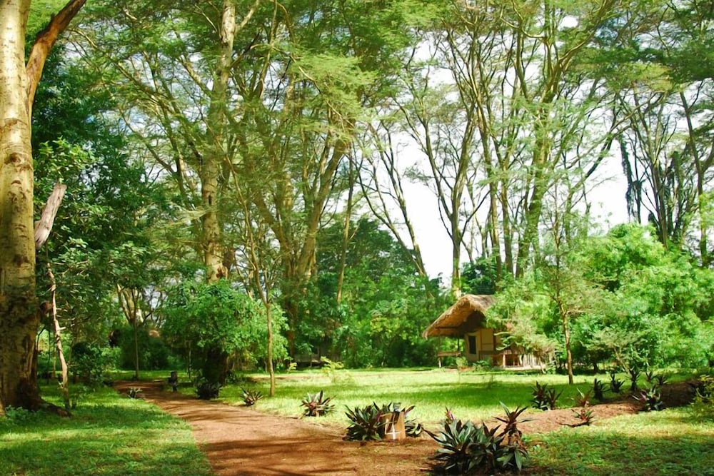 MIGUNGA TENTED CAMP 32/47