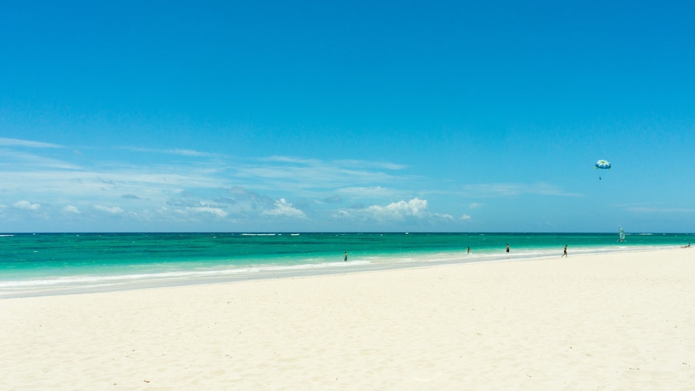 Grand Bavaro Princess All Suites Resort Spa and Casino 41/44