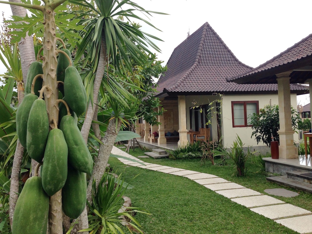 Masia Villa Ubud 4/67