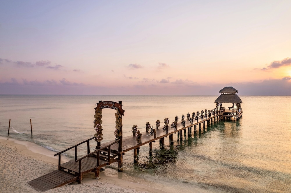 Secrets Aura Cozumel - Adults Only 65/67