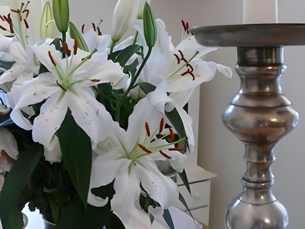 The Merchant House - B&B 11/16
