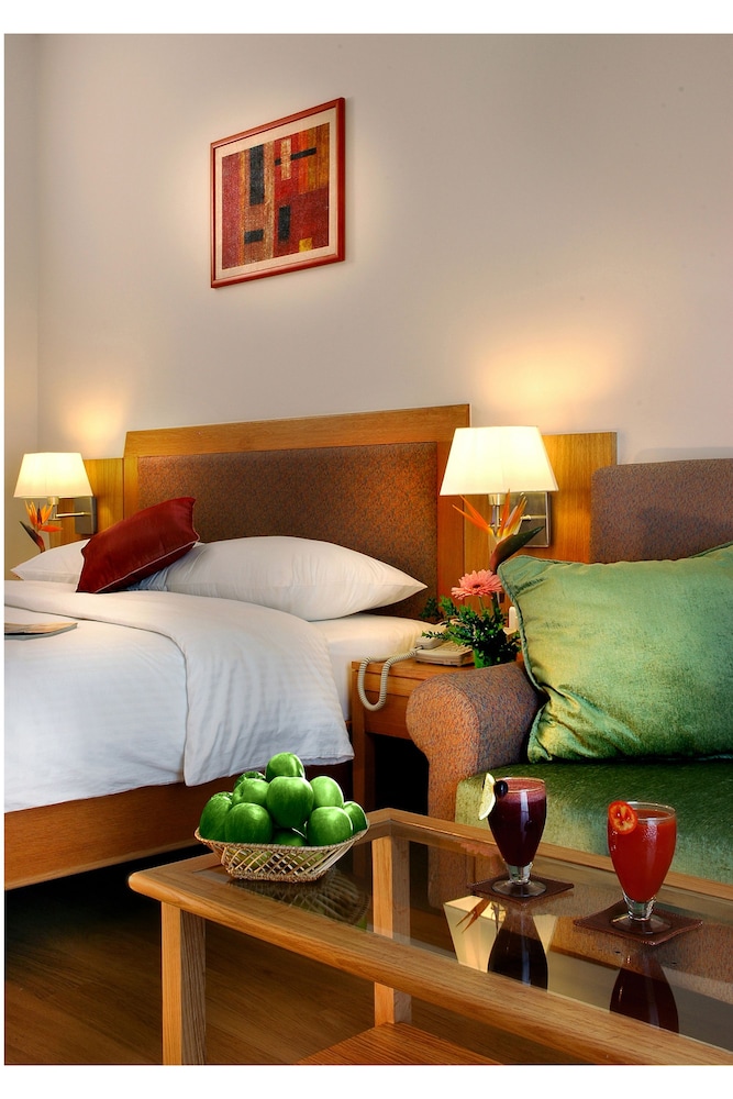 Park Plaza Chennai Omr 43/72