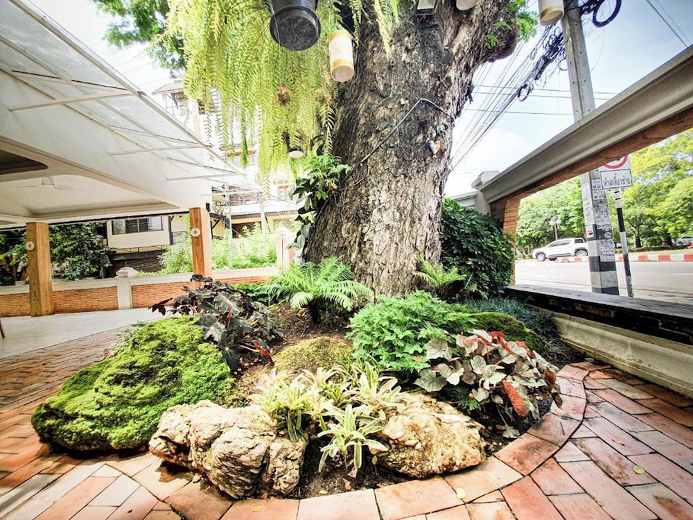 Big Tree Old Town Hotel 73/77