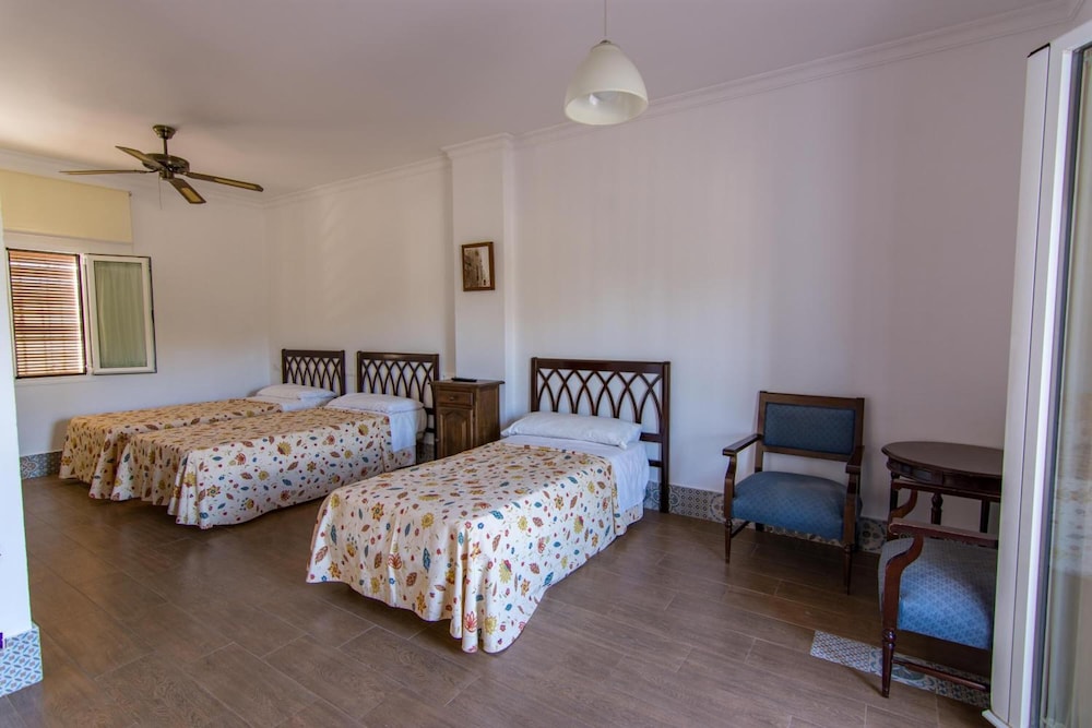 El Cortijo 12/50