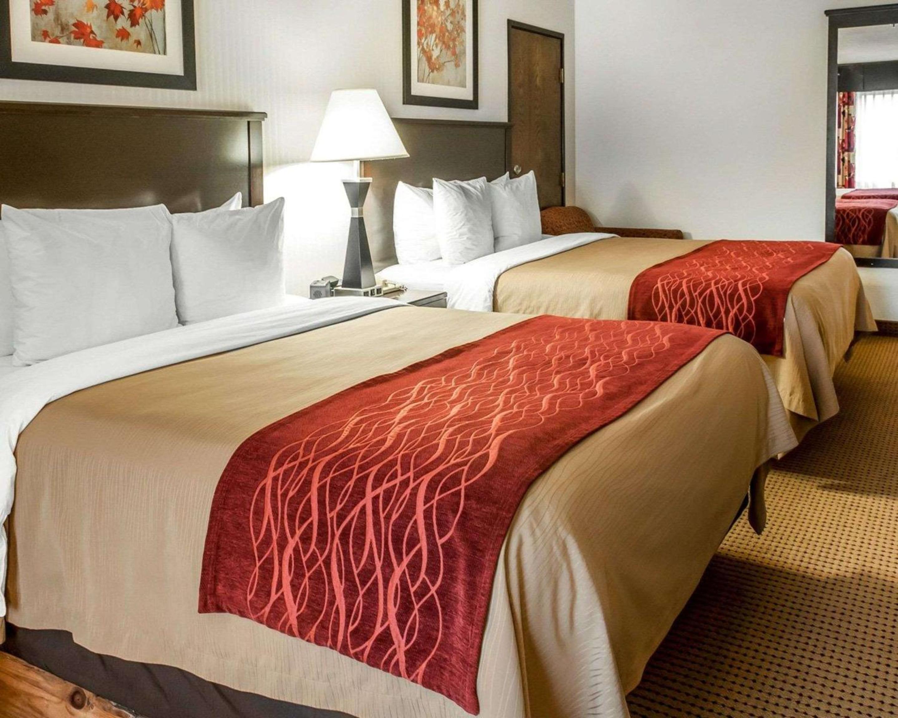 جناح بسرير كوين، Quality Inn Suites Farmington 3/7