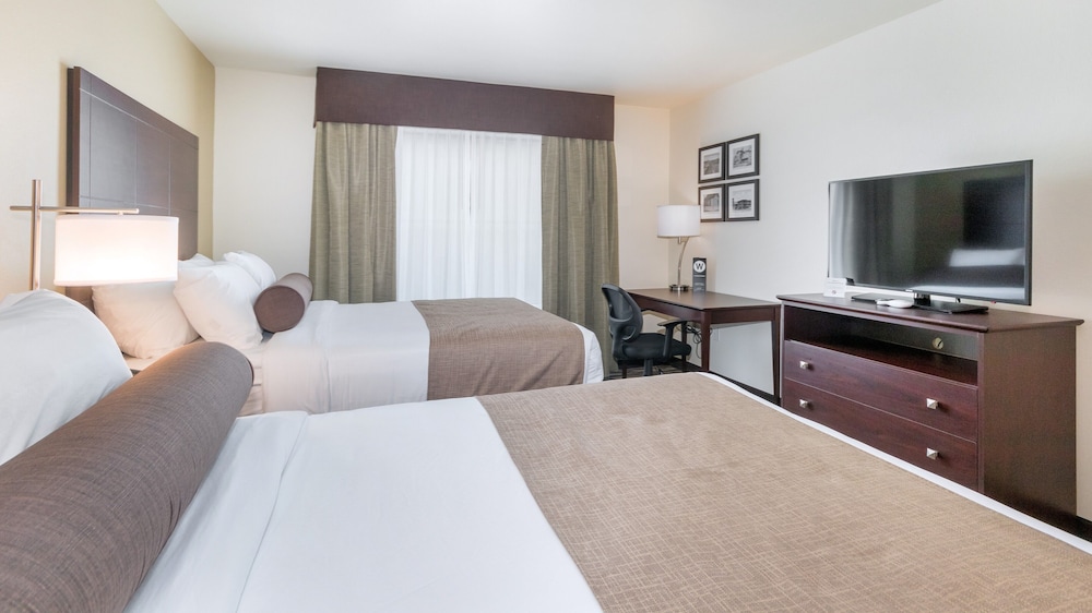 Cobblestone Hotel & Suites Janesville 10/38