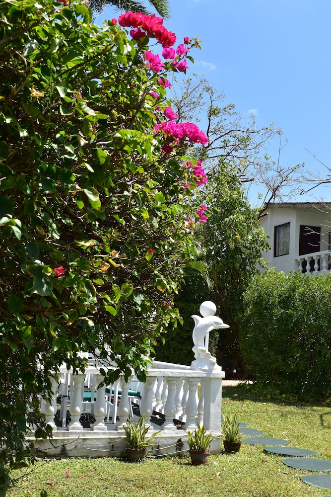 Villablanca Hotel 39/50