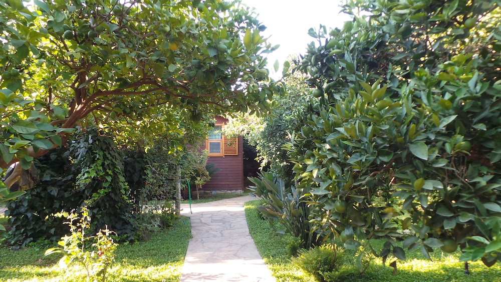 Mercan Bungalow 37/50