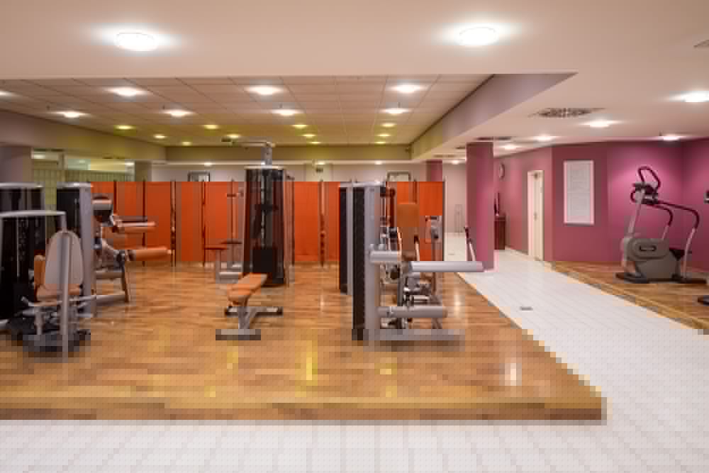 Lindner Hotel Frankfurt Hochst, Part of Jdv by Hyatt 17/50