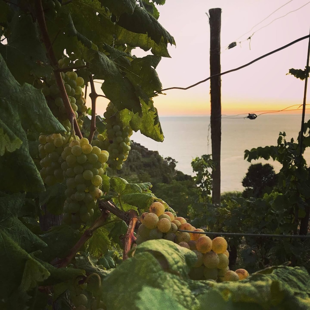 Il Magan - Cinque Terre 31/50