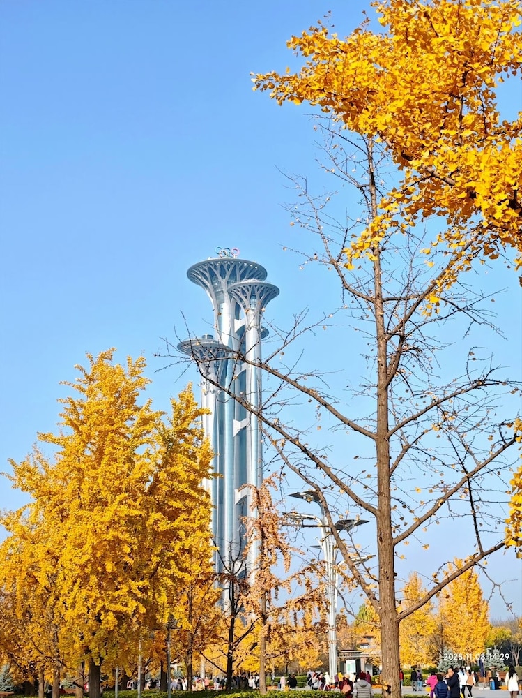 Time Walk S Hotel Beijing University of Science and Technology Birds Nest 43/50