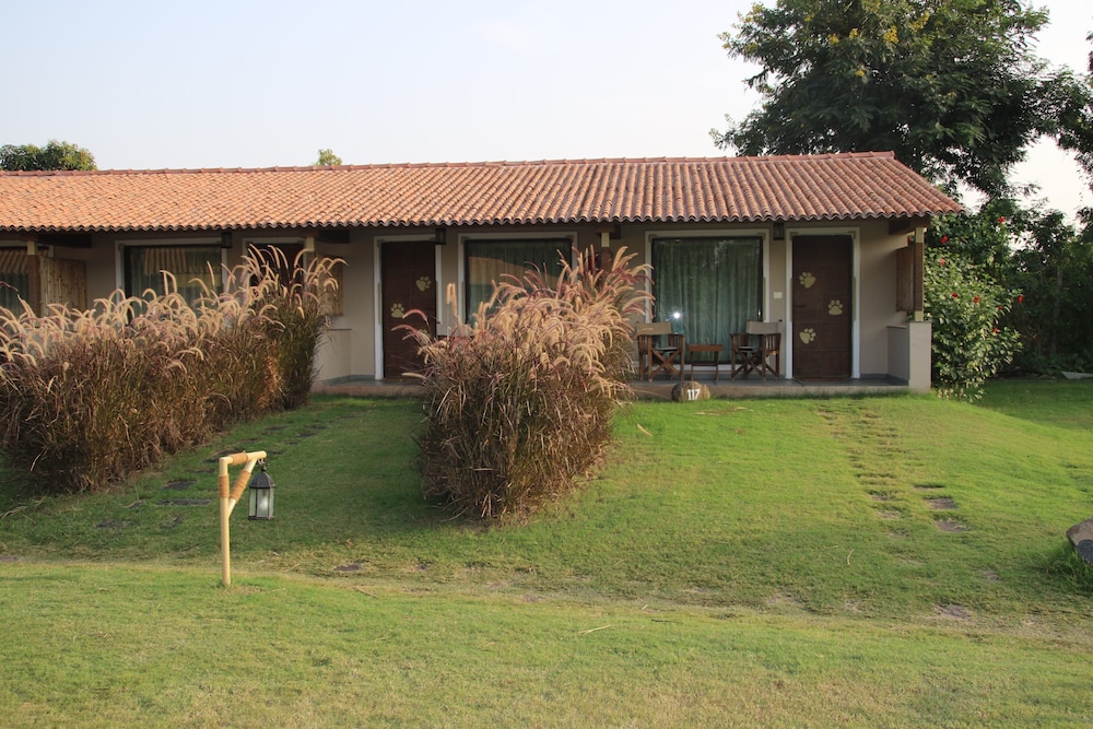 Asiatic Lion Lodge 31/50