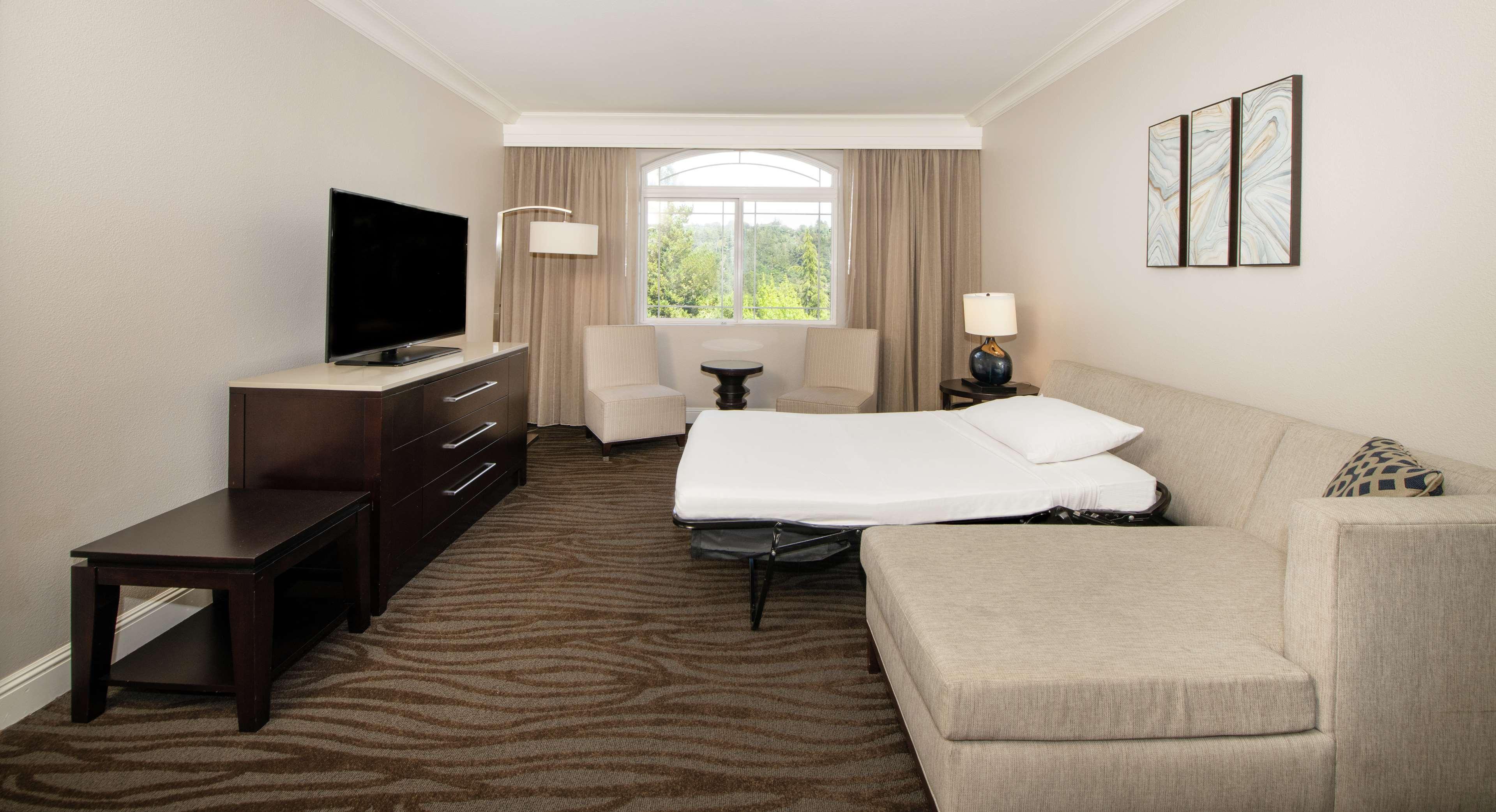 Suite, King Bed