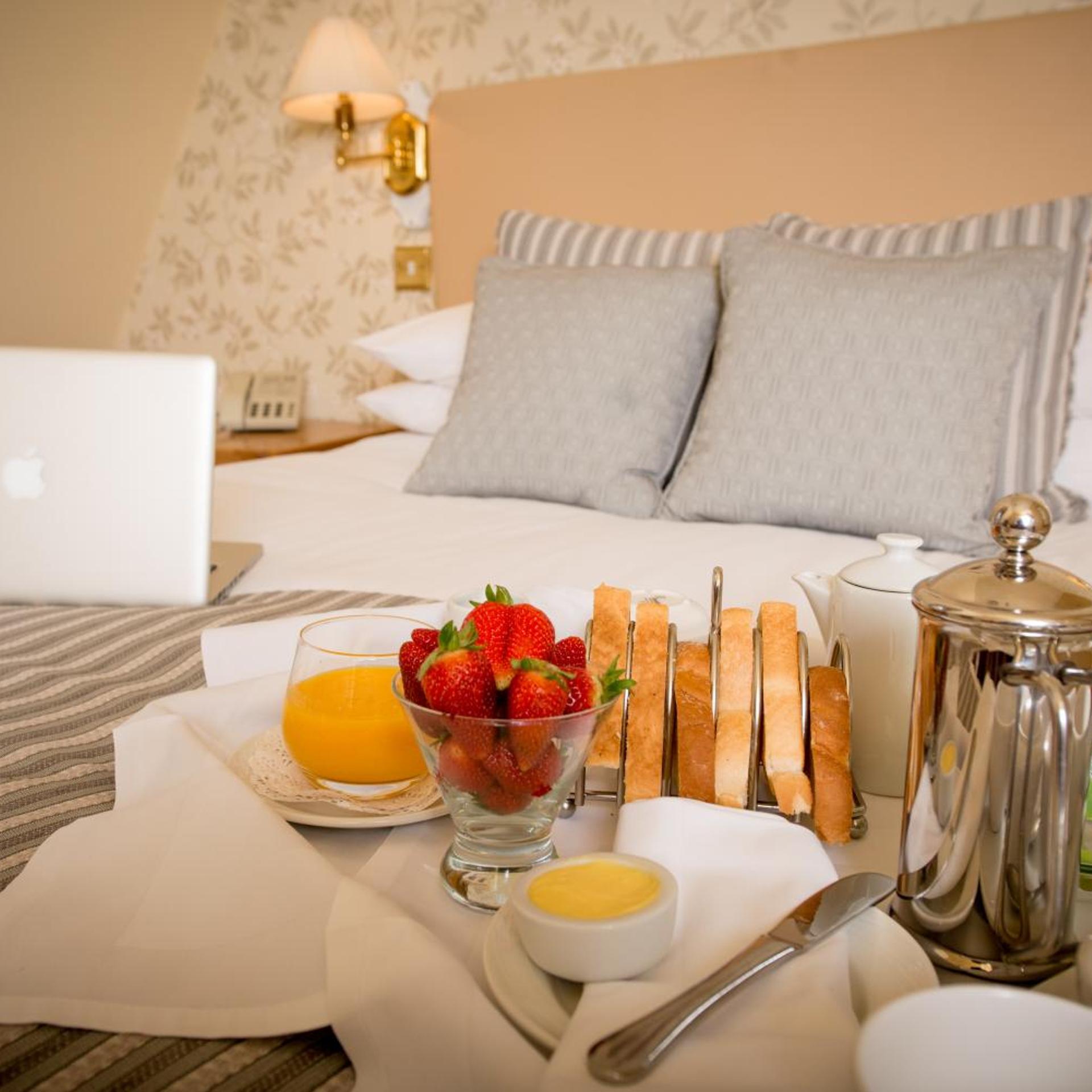 The Glen Yr Afon House Hotel 42/61