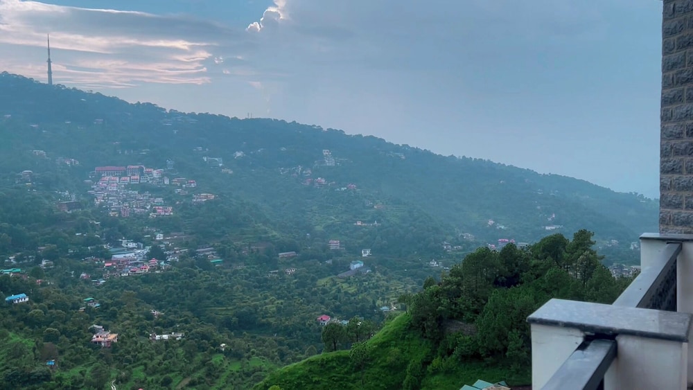 Rosetum Kasauli 37/44