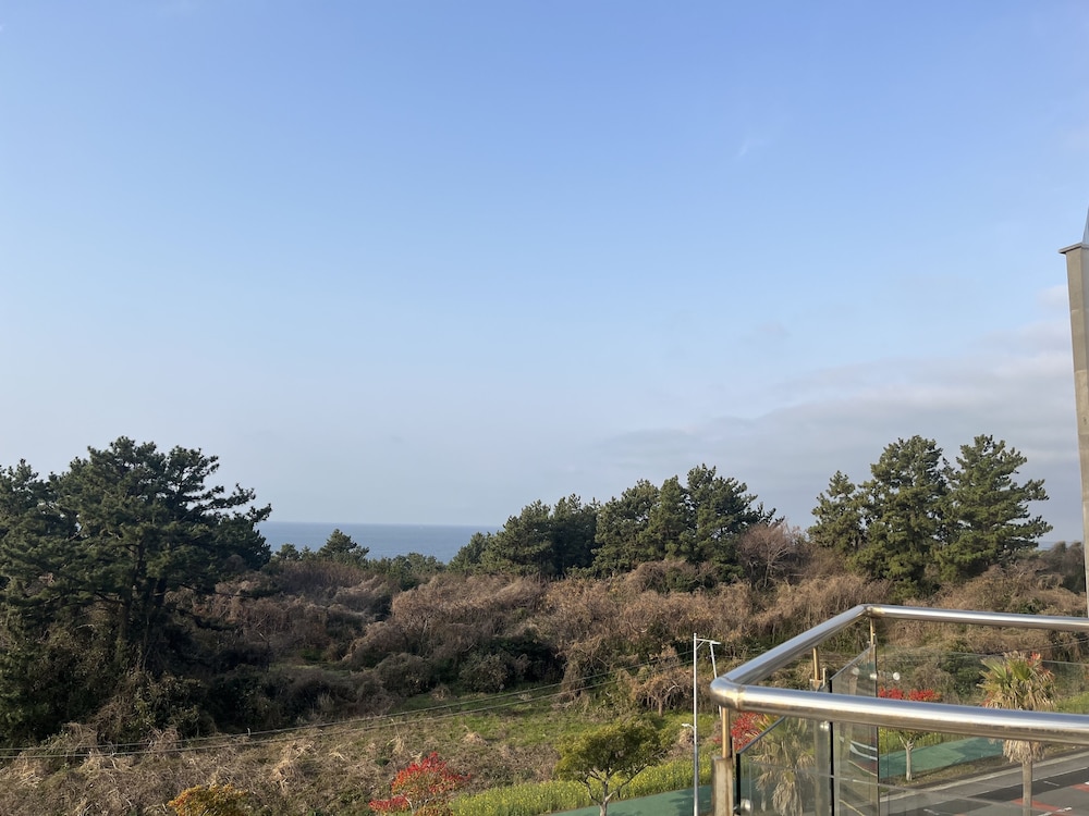Jeju Ocean Blue Hotel 42/61