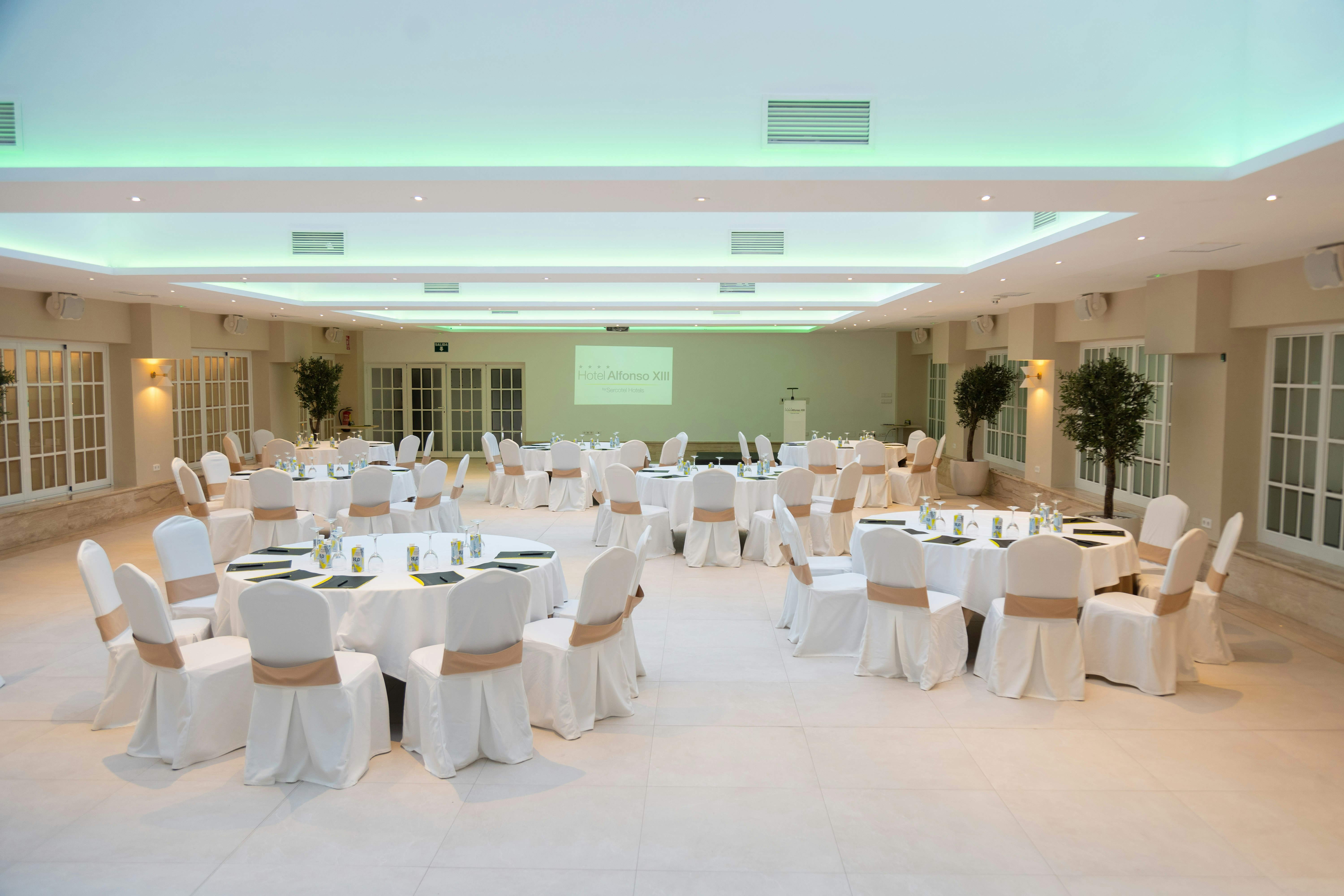 Hotel Sercotel Alfonso XIII 44/50