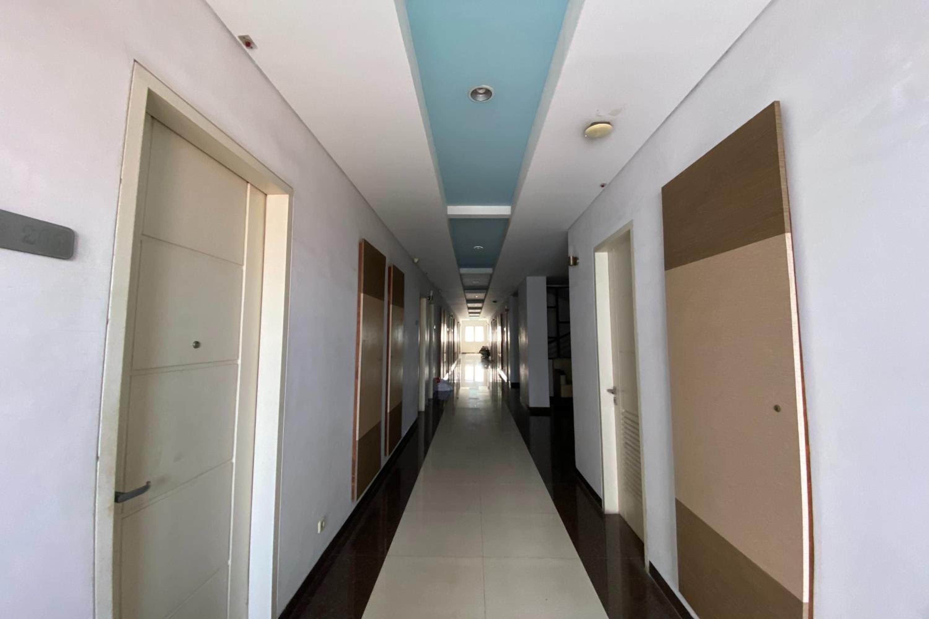 Zuzu Niaga Tambang 5/50