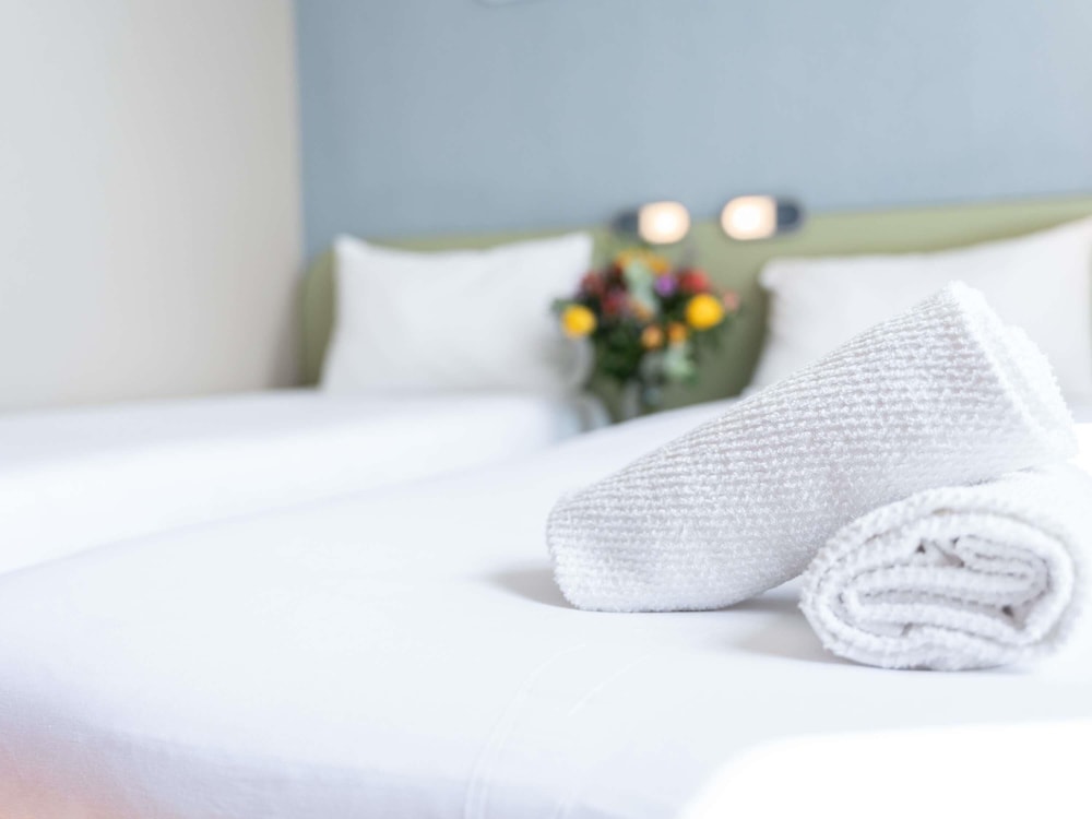 Ibis Budget Le Mans Centre 23/50