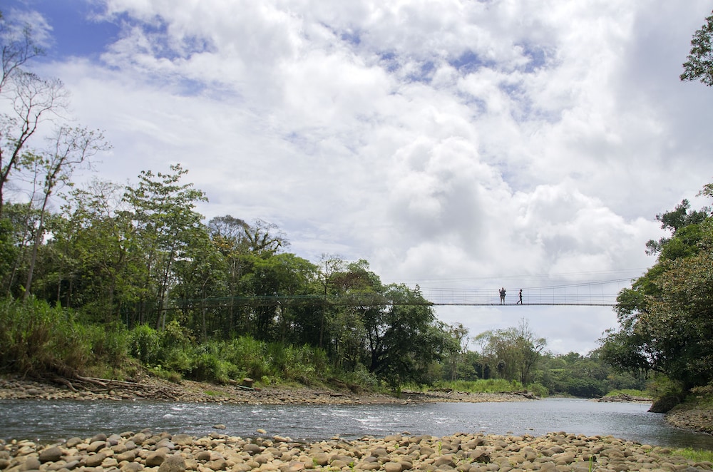 Selva Verde Lodge 24/68