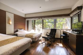 Interior, Semi Western, Style, Deluxe, Private Hot Spring Bath