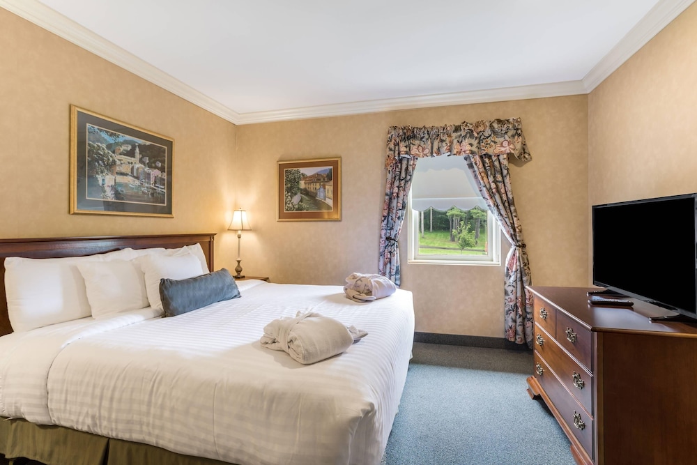 Efficiency, Suite, King Bed, Sofa