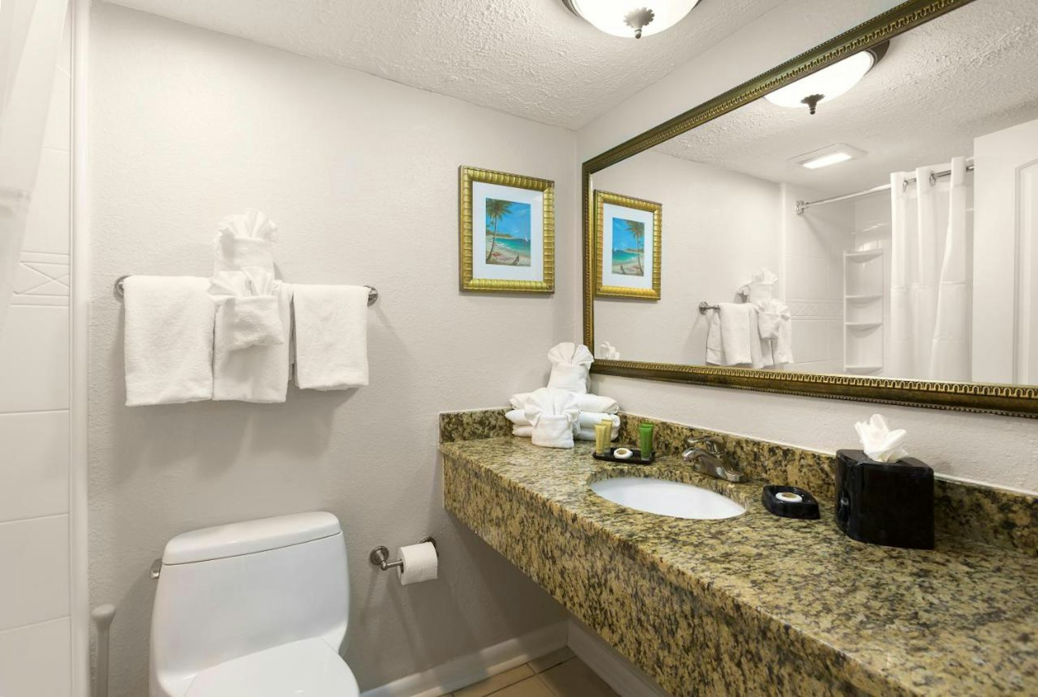 Sea Crest Oceanfront Resort 63/67