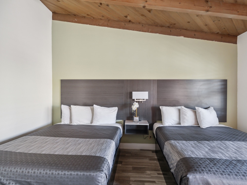 Discovery Inn 12/43