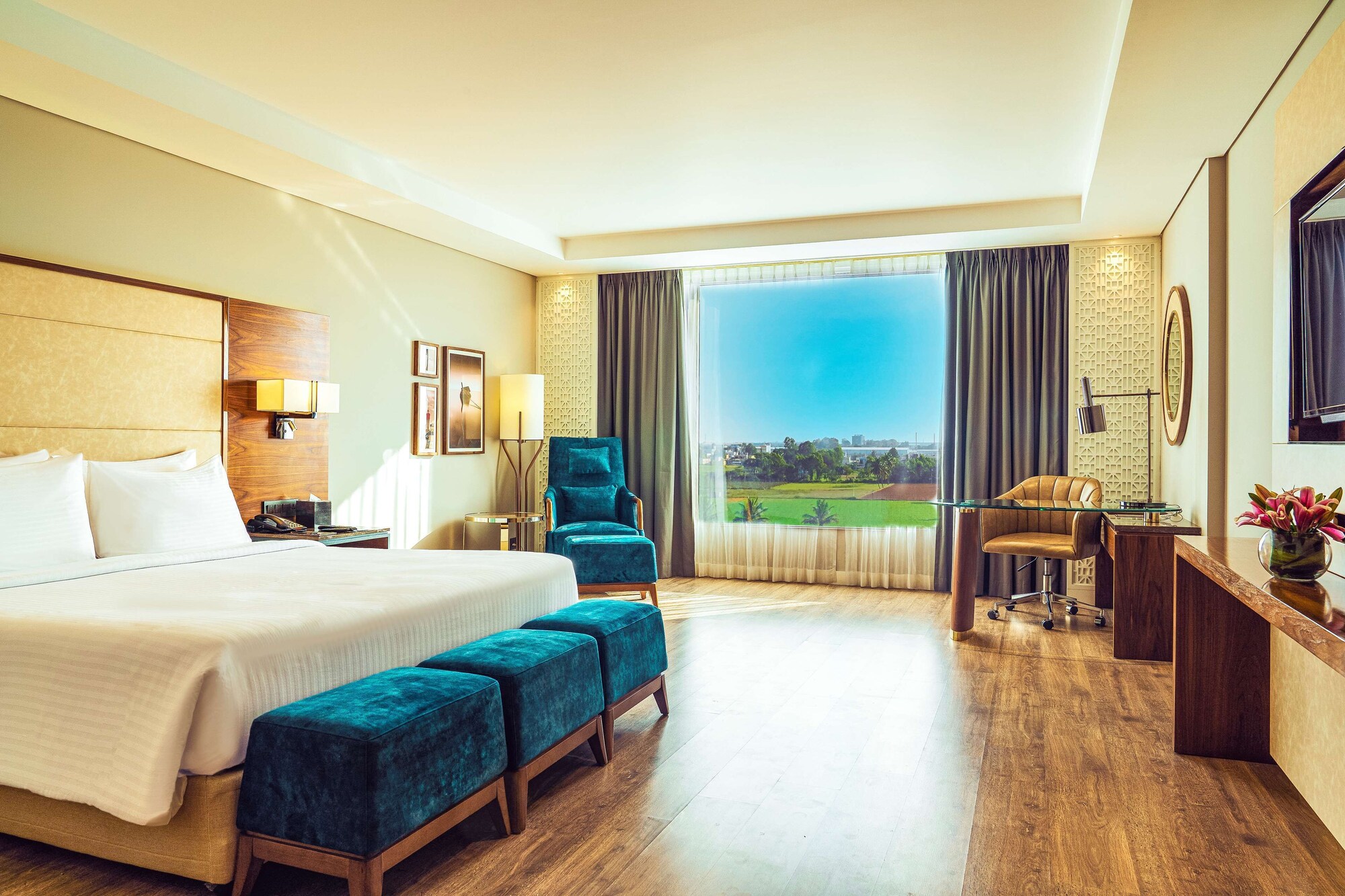 Junior Suite, King Bed