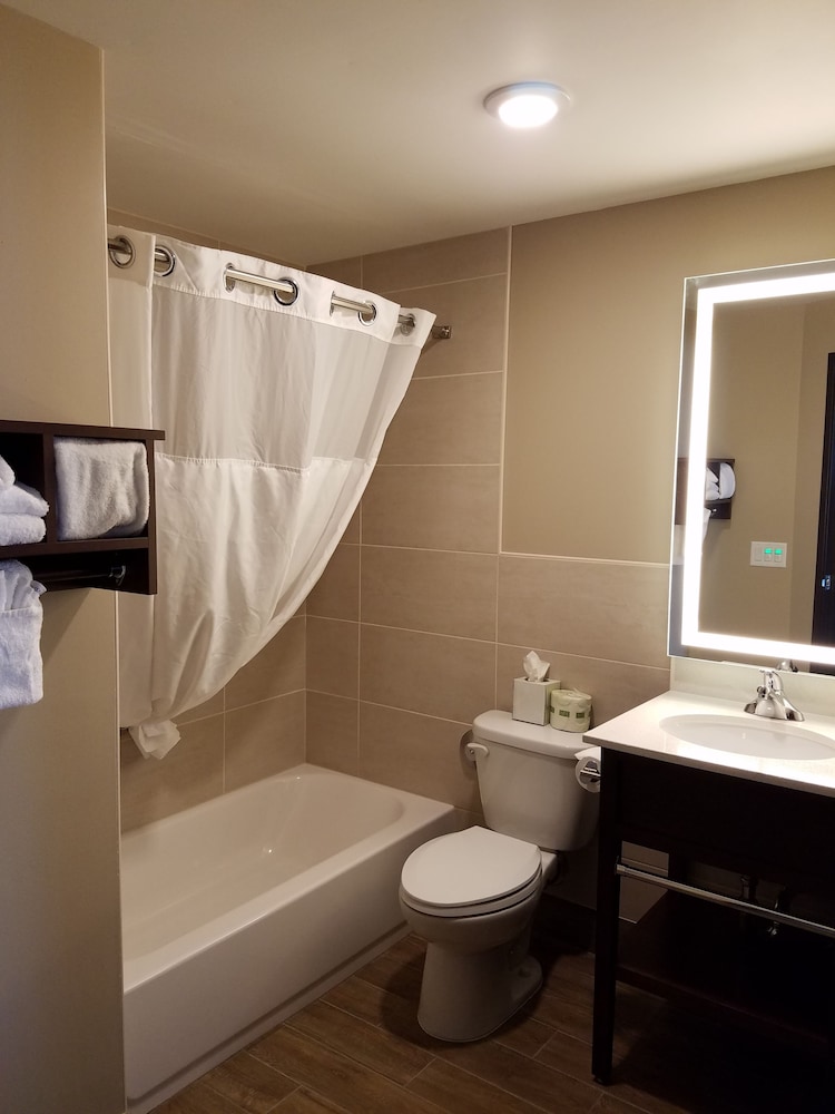 غرفة بسرير كينج لذوي الإعاقة، Ramada By Wyndham Minneapolis Golden Valley 4/5