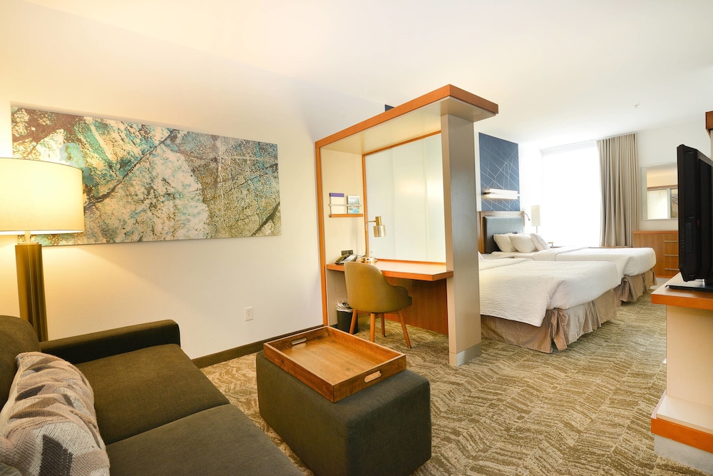 SpringHill Suites by Marriott Grand Forks 23/35