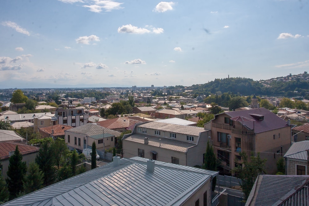 Hotel Terrace Kutaisi 39/50
