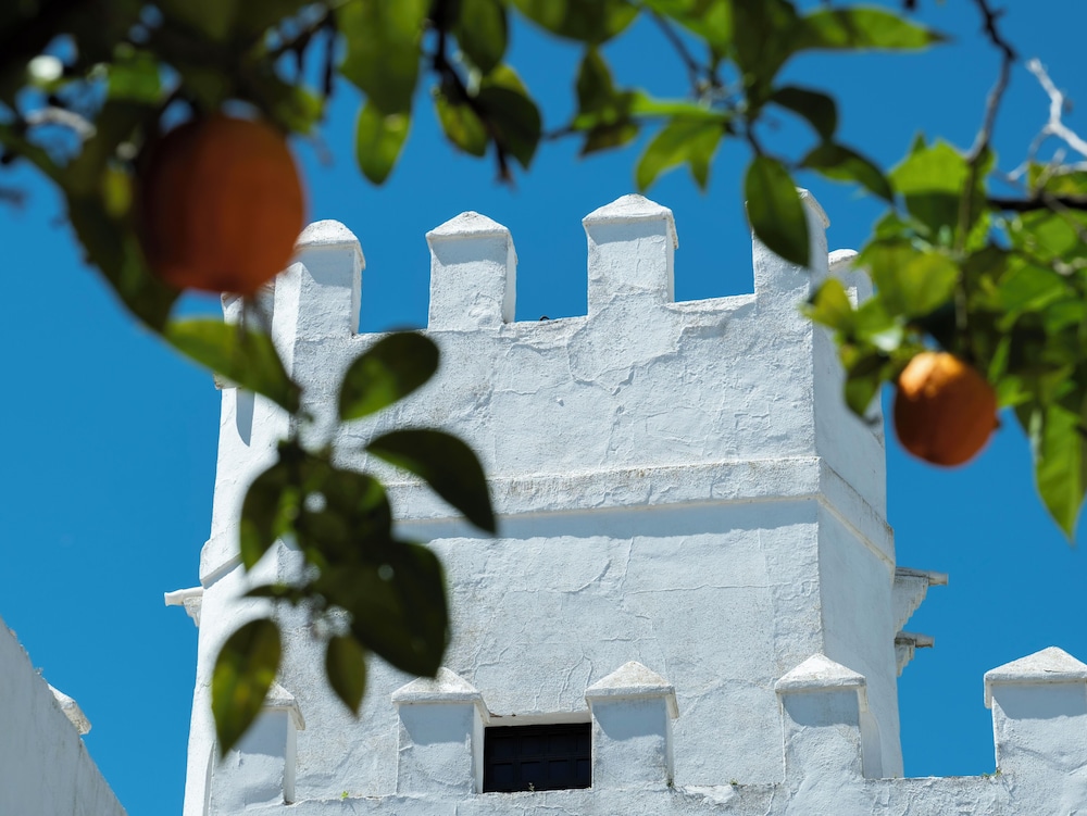 Cortijo Torre de la Reina 41/50