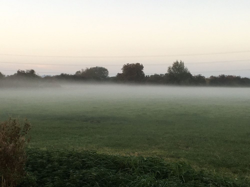 Double-Gate Farm 47/50