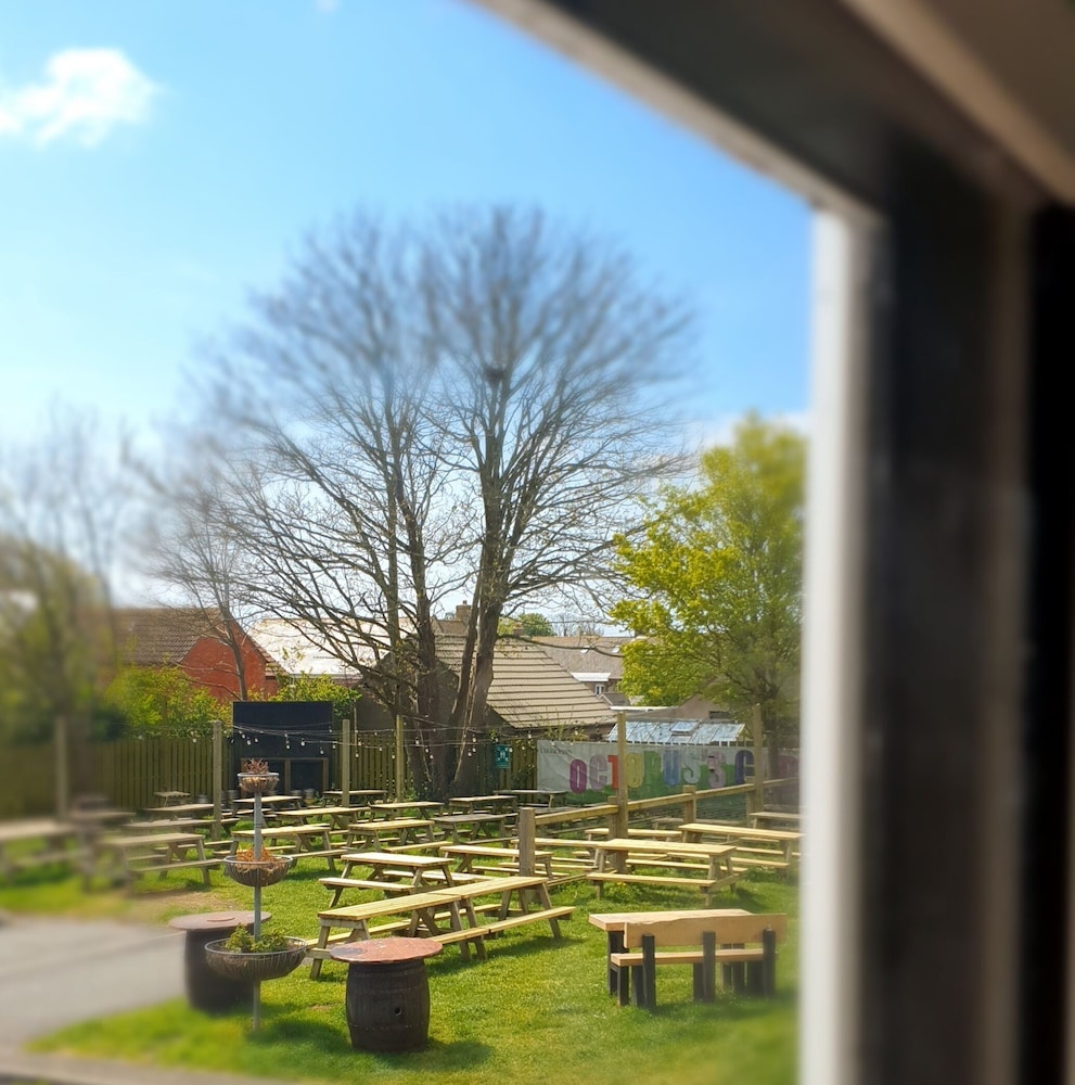 The Lugger Inn 38/47