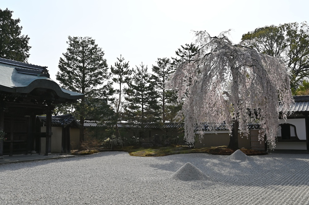 Kyounoyado Senkakubettei 47/59