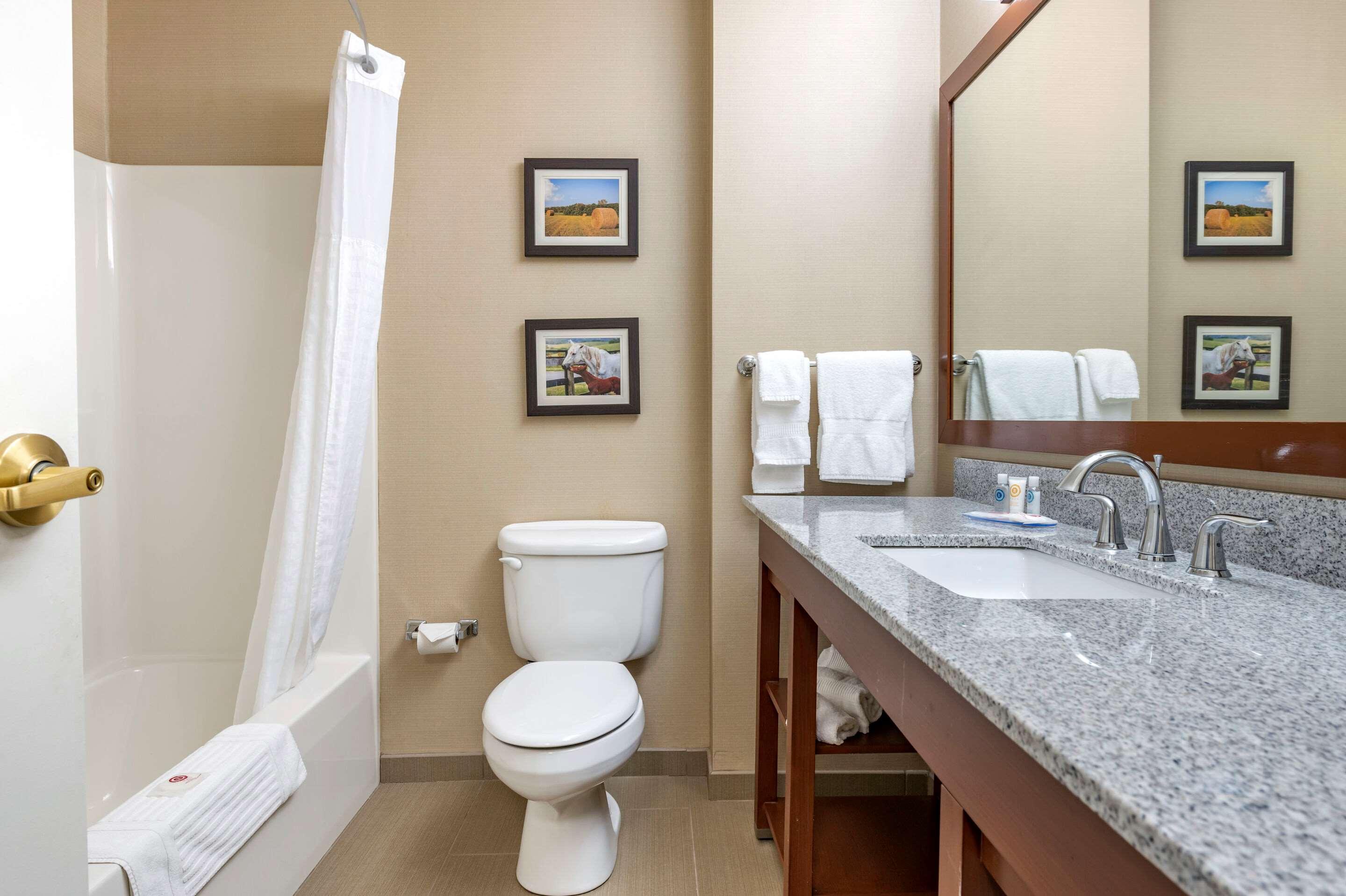 غرفة بسرير مزدوج، Comfort Inn & Suites Northern Kentucky 2/2