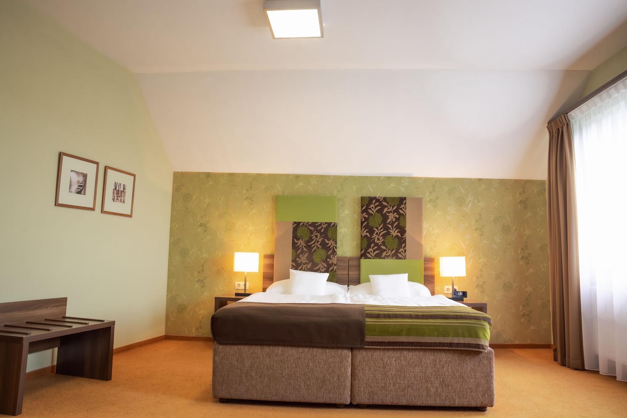 Deluxe, King Bed