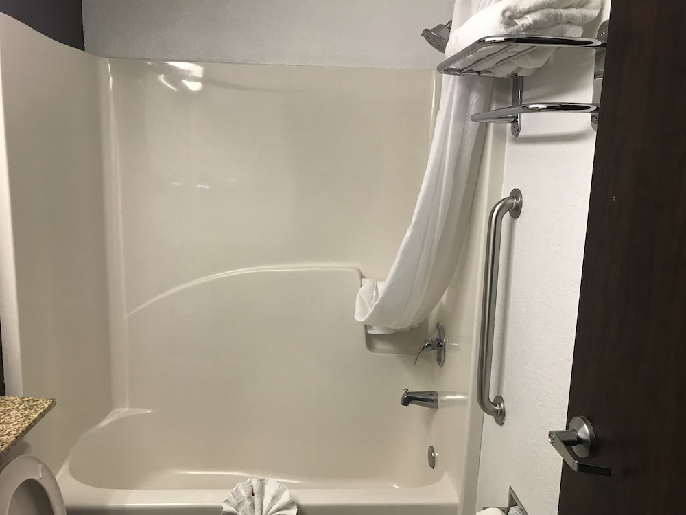 Microtel Inn & Suites by Wyndham Jacksonville Airport 15/40