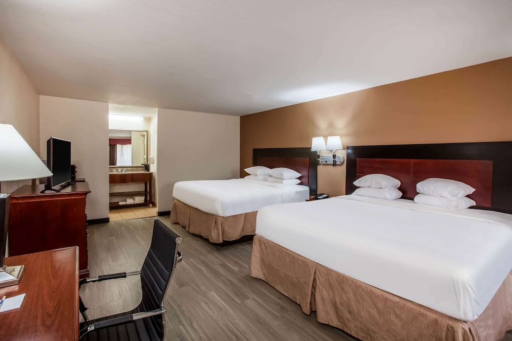 ROOM, MULTIPLE BEDS
