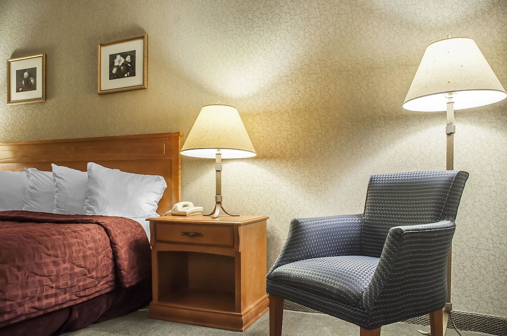 Comfort Inn Lundy's Lane 20/40
