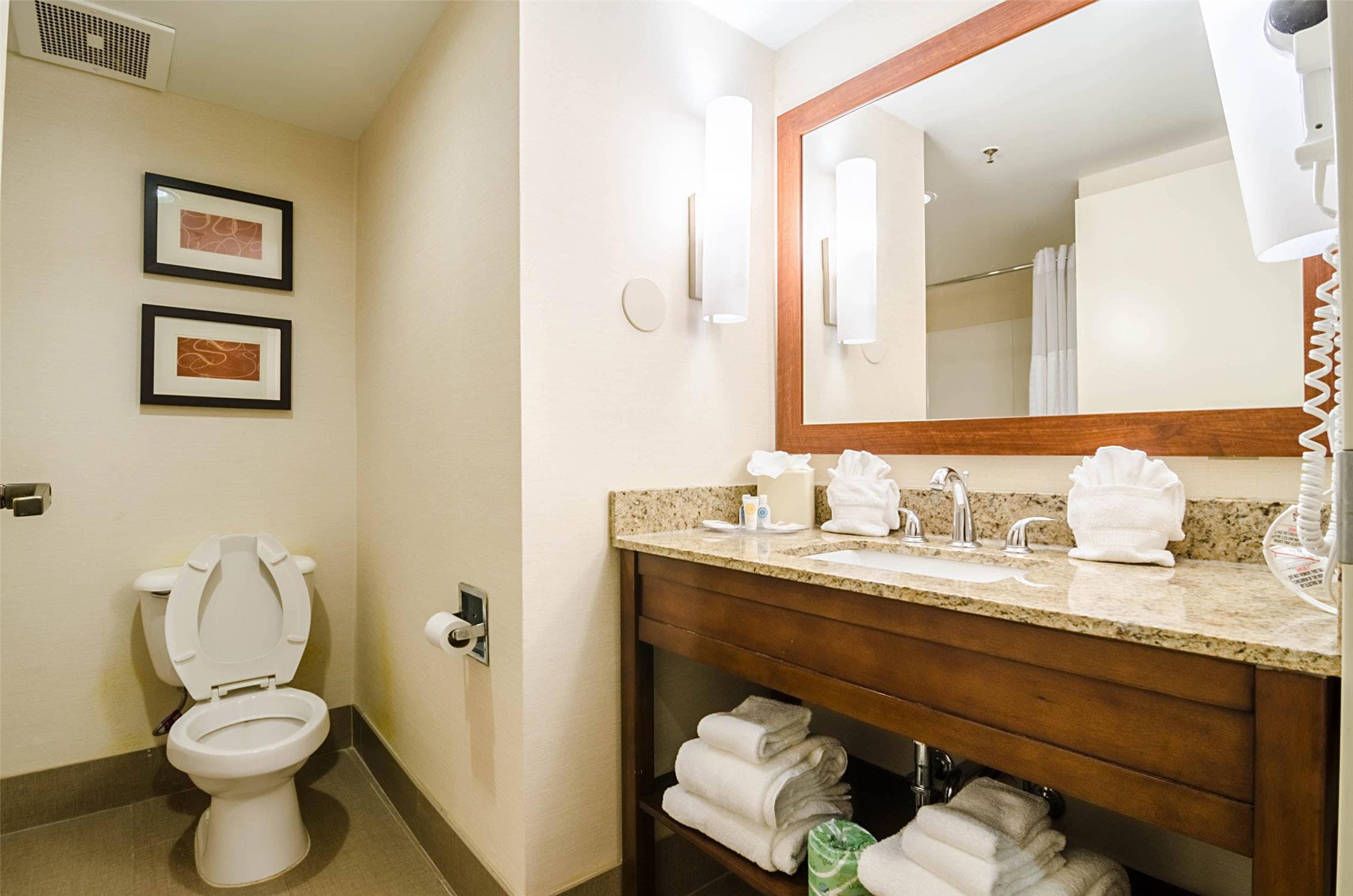 Comfort Suites Innsbrook Short Pump 52/52