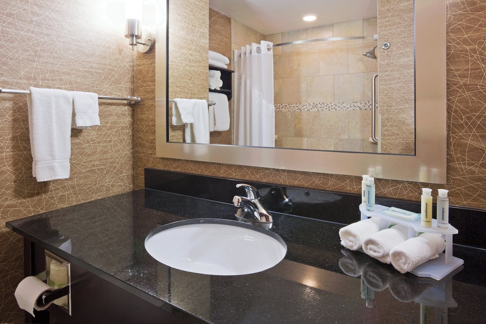 غرفة قياسية بسرير كينج لذوي الإعاقة، Holiday Inn Express Hotel Suites Rochester 2/4