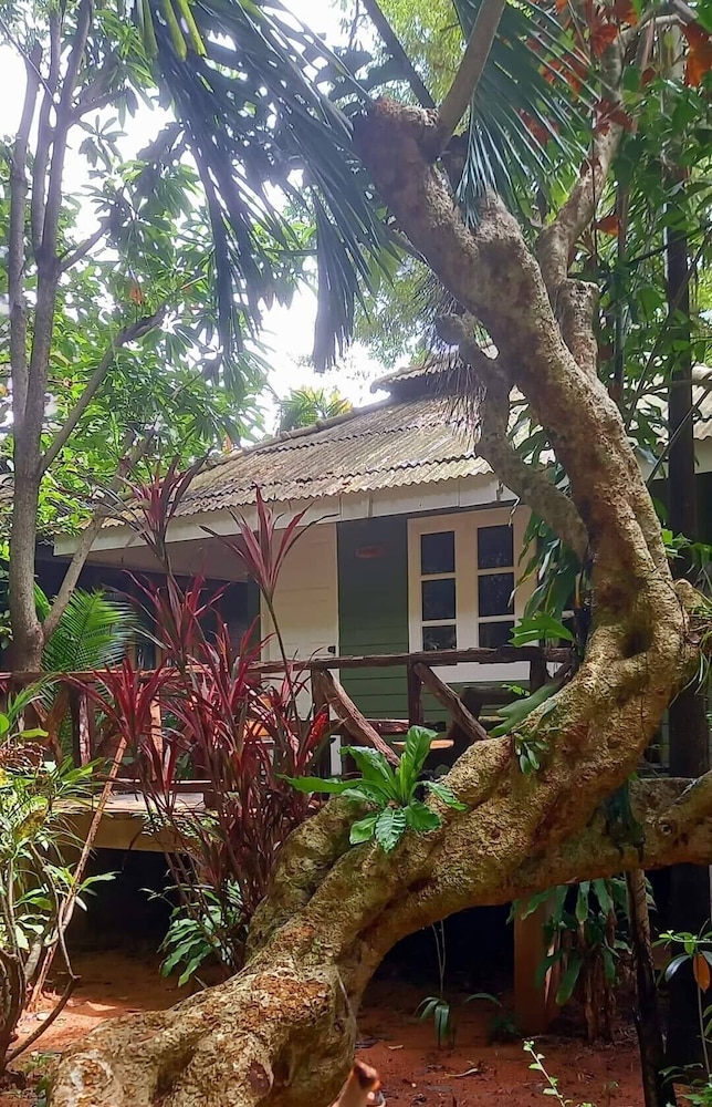 Jungle Bay Resort 4/42