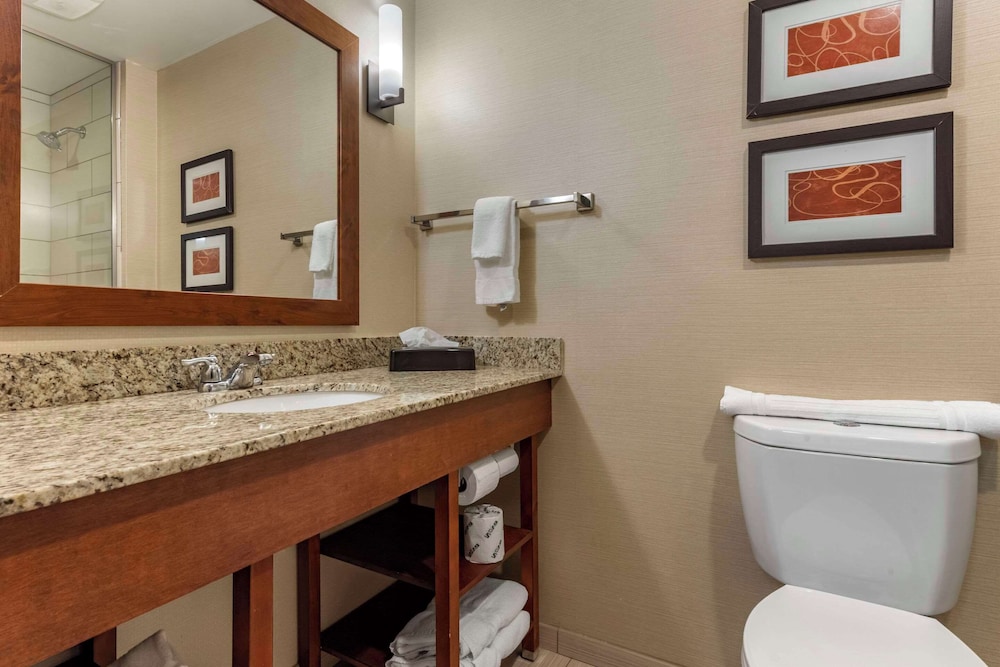 Comfort Suites Bridgeport Clarksburg 31/33