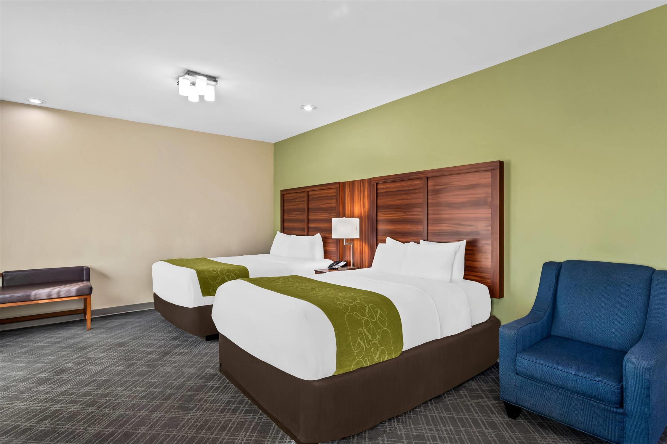 Comfort Suites Roswell, NM 21/60
