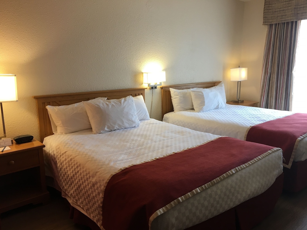 Hotel L Oiseliere Montmagny 20/60