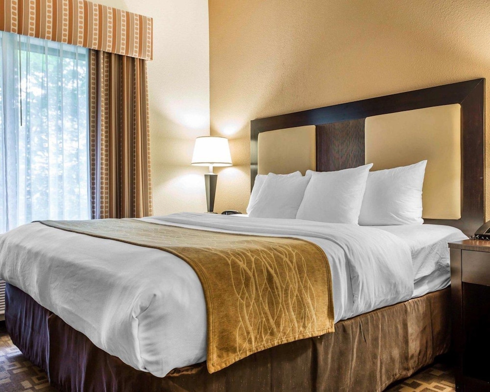 Comfort Suites At Kennesaw State University 15/47