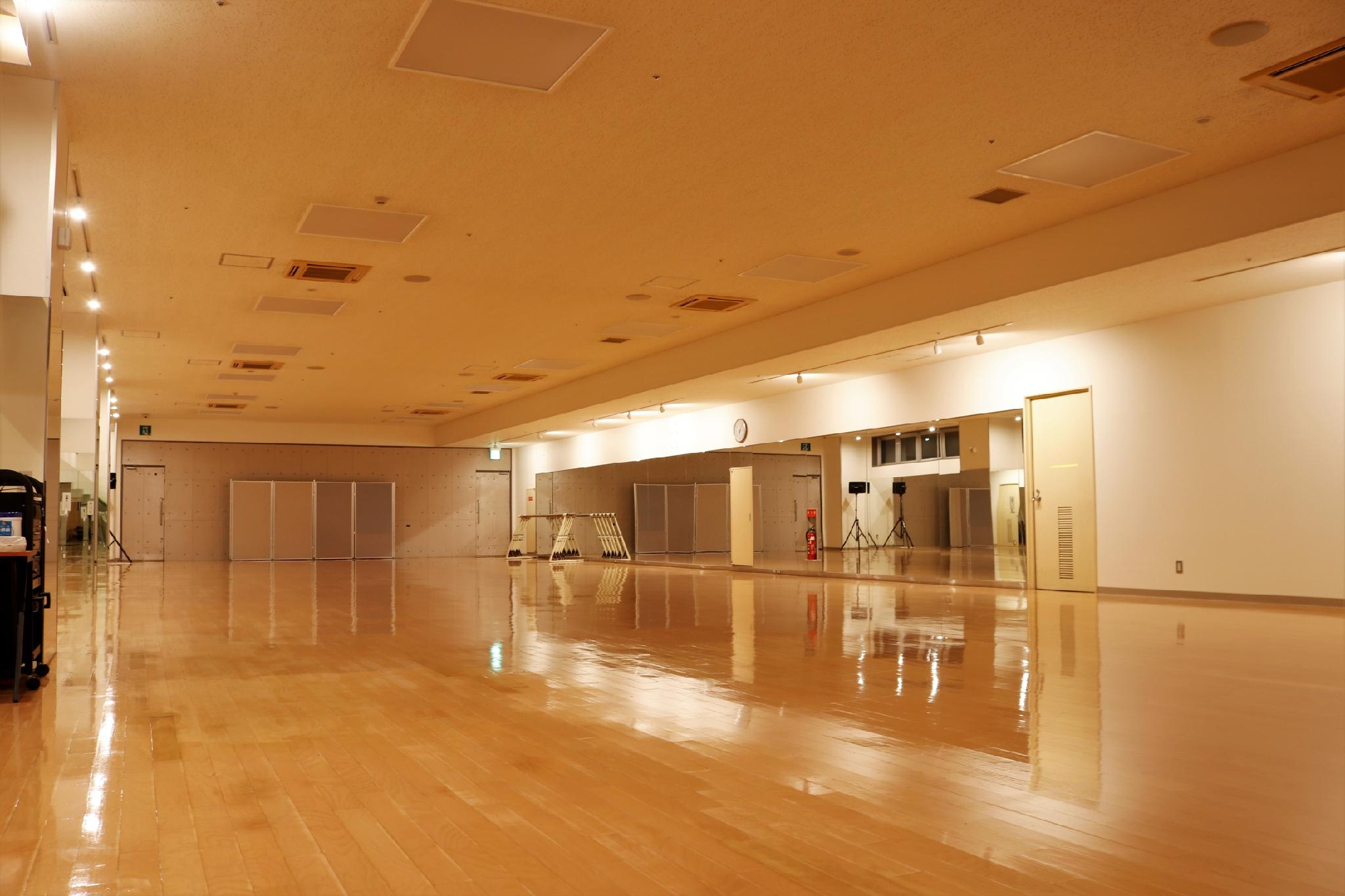 San Gran Hotel Sapporo Odori Park 33/49